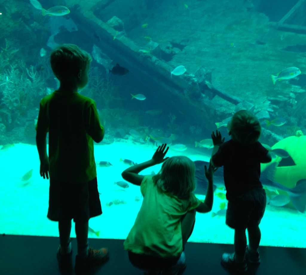 Aquarium at Sentosa in Singapore