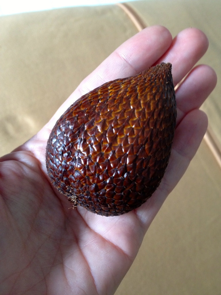 A single Snake Fruit pod in Indonesia